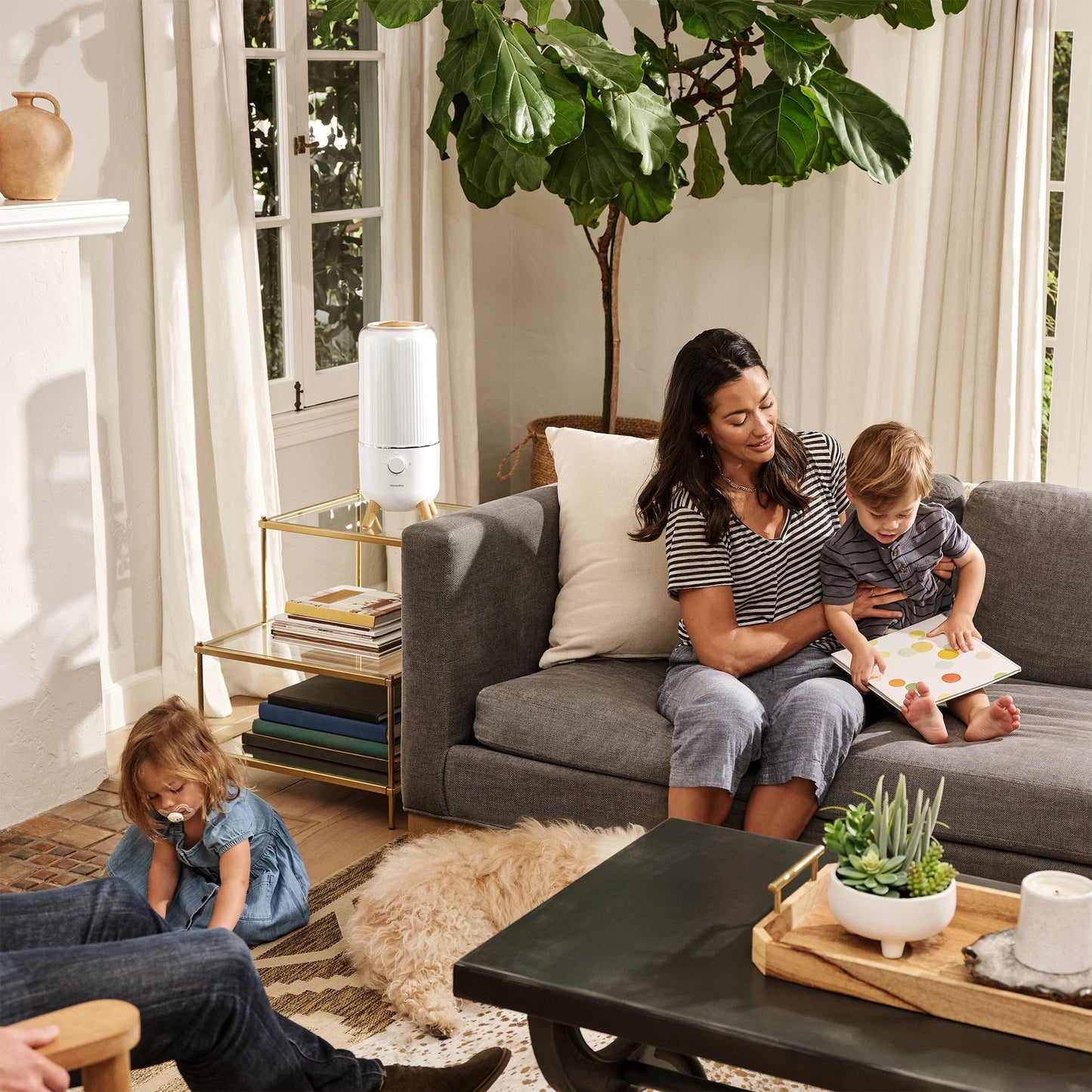 HoMedics TotalComfort Cool Mist Ultrasonic Humidifier - 15-14149